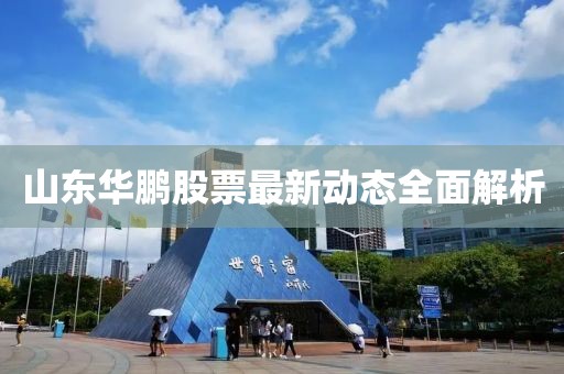 山东华鹏股票最新动态全面解析