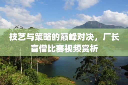 技艺与策略的巅峰对决，厂长盲僧比赛视频赏析