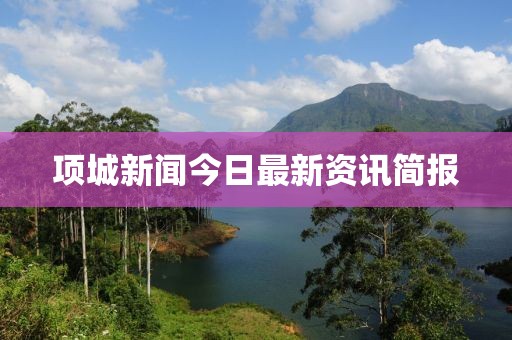 项城新闻今日最新资讯简报