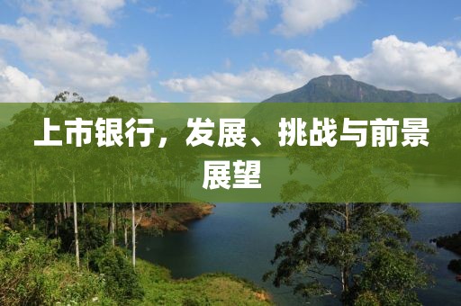 上市银行，发展、挑战与前景展望