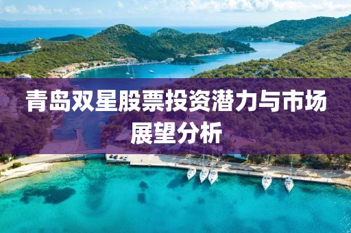 青岛双星股票投资潜力与市场展望分析