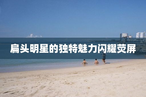 扁头明星的独特魅力闪耀荧屏