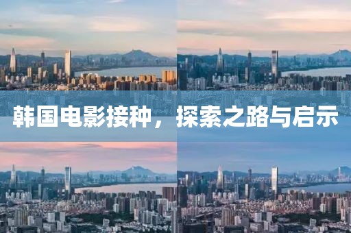韩国电影接种，探索之路与启示