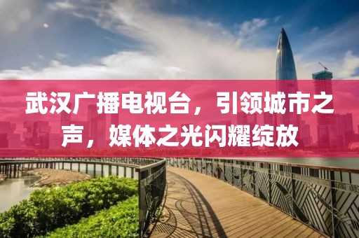 武汉广播电视台，引领城市之声，媒体之光闪耀绽放