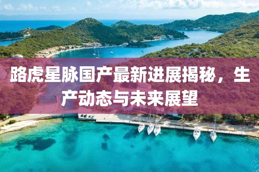 路虎星脉国产最新进展揭秘，生产动态与未来展望