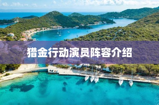 猎金行动演员阵容介绍