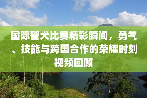 国际警犬比赛精彩瞬间，勇气、技能与跨国合作的荣耀时刻视频回顾