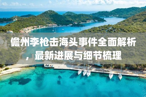 儋州李枪击海头事件全面解析，最新进展与细节梳理