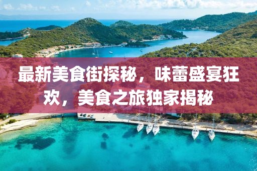 最新美食街探秘，味蕾盛宴狂欢，美食之旅独家揭秘