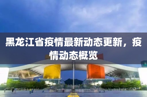 黑龙江省疫情最新动态更新，疫情动态概览