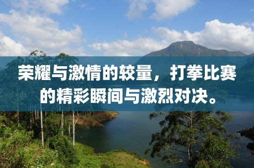 荣耀与激情的较量，打拳比赛的精彩瞬间与激烈对决。