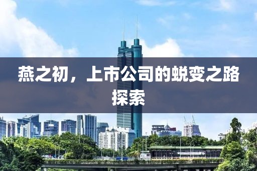 燕之初，上市公司的蜕变之路探索