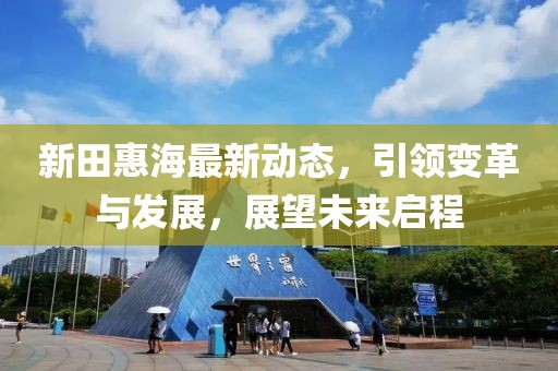 新田惠海最新动态，引领变革与发展，展望未来启程
