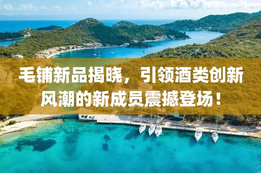 沧桑为饮 第4页
