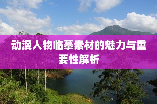 动漫人物临摹素材的魅力与重要性解析