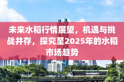 未来水稻行情展望，机遇与挑战并存，探究至2025年的水稻市场趋势