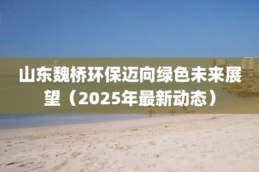 山东魏桥环保迈向绿色未来展望（2025年最新动态）