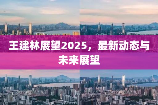 王建林展望2025，最新动态与未来展望