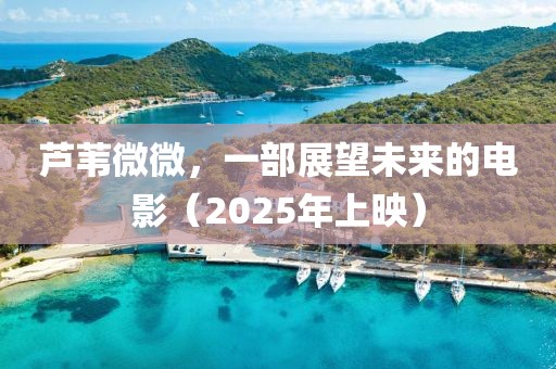 芦苇微微，一部展望未来的电影（2025年上映）