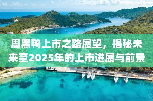 周黑鸭上市之路展望，揭秘未来至2025年的上市进展与前景