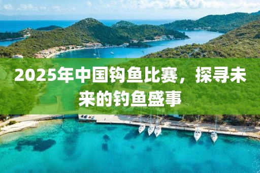 2025年中国钩鱼比赛，探寻未来的钓鱼盛事