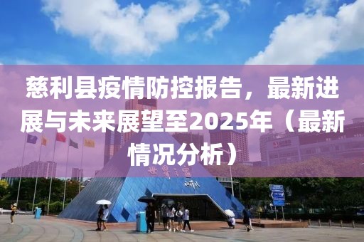 慈利县疫情防控报告，最新进展与未来展望至2025年（最新情况分析）