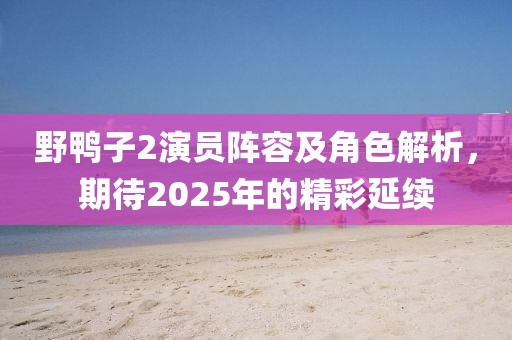野鸭子2演员阵容及角色解析，期待2025年的精彩延续