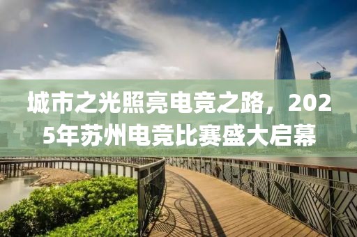 城市之光照亮电竞之路，2025年苏州电竞比赛盛大启幕