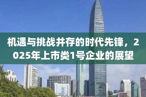 机遇与挑战并存的时代先锋，2025年上市类1号企业的展望