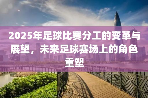 2025年足球比赛分工的变革与展望，未来足球赛场上的角色重塑