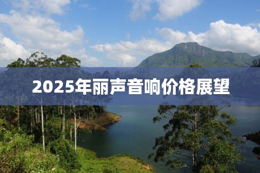 2025年丽声音响价格展望