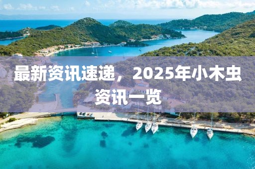 最新资讯速递，2025年小木虫资讯一览
