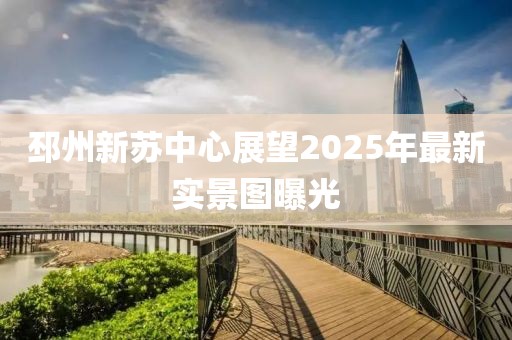 邳州新苏中心展望2025年最新实景图曝光