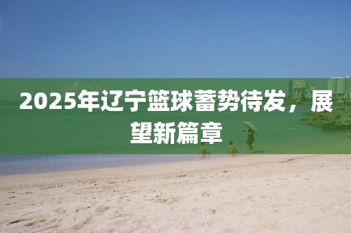 2025年辽宁篮球蓄势待发，展望新篇章