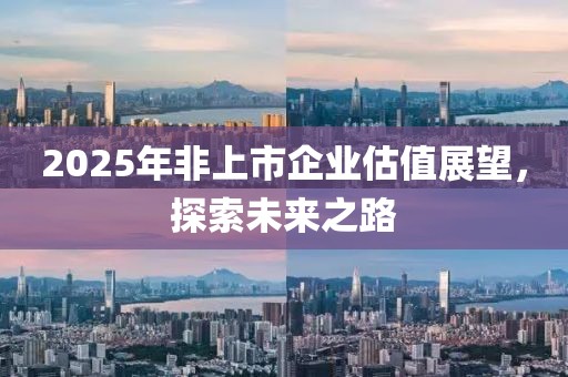 2025年非上市企业估值展望，探索未来之路