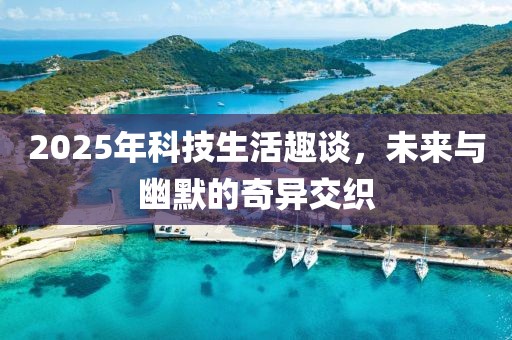 2025年科技生活趣谈，未来与幽默的奇异交织
