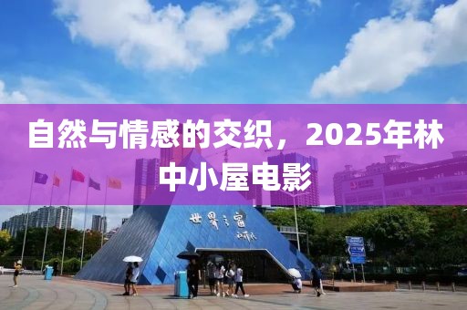 自然与情感的交织，2025年林中小屋电影