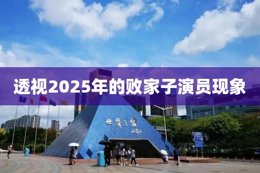 透视2025年的败家子演员现象