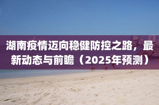 湖南疫情迈向稳健防控之路，最新动态与前瞻（2025年预测）