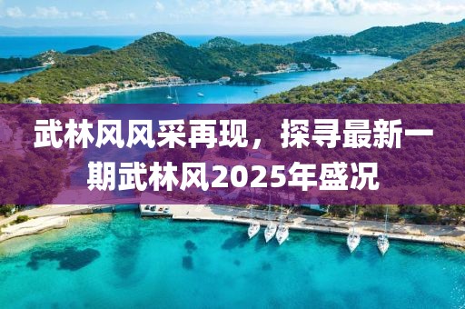 武林风风采再现，探寻最新一期武林风2025年盛况