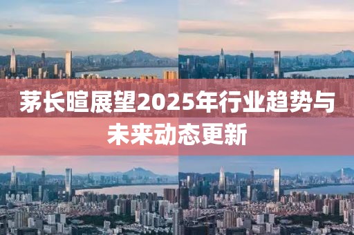 茅长暄展望2025年行业趋势与未来动态更新
