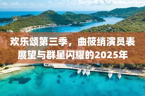 欢乐颂第三季，曲筱绡演员表展望与群星闪耀的2025年