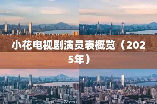 小花电视剧演员表概览（2025年）
