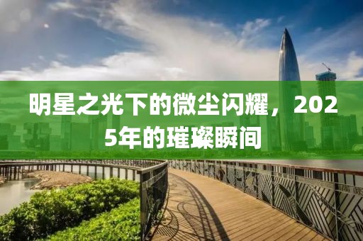 明星之光下的微尘闪耀，2025年的璀璨瞬间