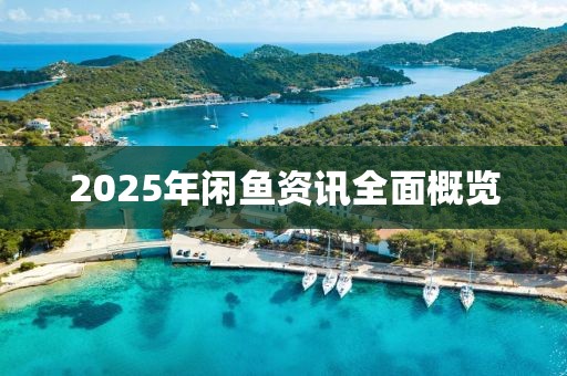 2025年闲鱼资讯全面概览