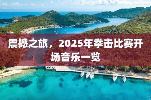 震撼之旅，2025年拳击比赛开场音乐一览
