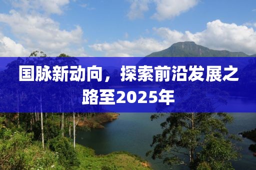 国脉新动向，探索前沿发展之路至2025年