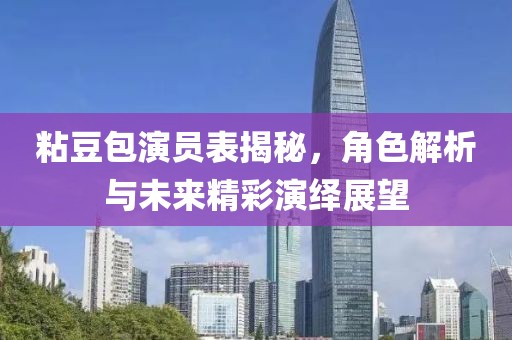 粘豆包演员表揭秘，角色解析与未来精彩演绎展望