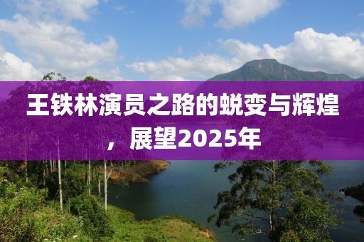 王铁林演员之路的蜕变与辉煌，展望2025年