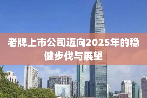 老牌上市公司迈向2025年的稳健步伐与展望
